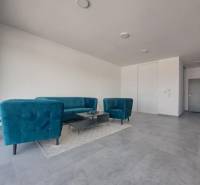 Commercial space with blue sofas, a coffee table on a carpet, and gray tiles.