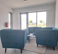 Blue chairs, coffee table, white walls, light flooring, interior of commercial premises.