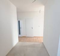 A hallway in a family house with two white doors and a wooden decor floor.