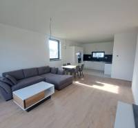 Living room in a family house with a kitchen, sofa, and floor with a wooden decor.