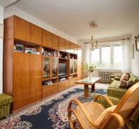 Living room with a carpet, wooden furniture, and a large window in a three-room apartment.