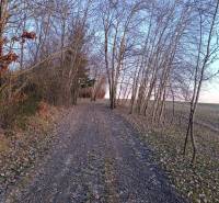 A dirt road lined with trees in the Gardens in Košice - the Šaca district.