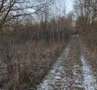 A forest path covered with leaves and snow in the gardens of Košice - the Šaca district.