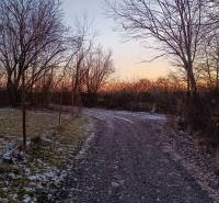 A gravel path between trees in the Gardens in Košice - the Šaca district during a winter evening.
