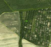 Aerial view of gardens in Šaca, Košice, surrounded by fields and forest.