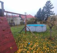 Garden area in Dunajská Streda with a swimming pool and climbing wall by the family house.