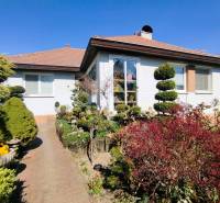 A family house in Šaľa with a landscaped garden, pathway, and greenery under a blue sky.