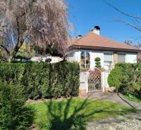 A family house in Šaľa with a landscaped garden, blooming trees, and a hedge.