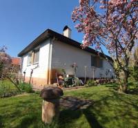 A family house in Šaľa with a blooming tree and a well-maintained garden.