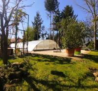A swimming pool with a cover in the garden of a family house in Šaľa, surrounded by trees and shrubs.