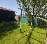 Gardens in Šaľa with a lawn, a tree, and woven fencing in sunny weather.
