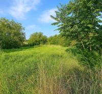 A green residential plot in Veľké Zálužie surrounded by trees and a blue sky.