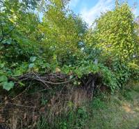 Greenery and fencing in residential plots in Veľké Zálužie, surrounded by dense foliage.