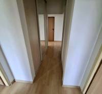 Hallway in a 4-room apartment with a wooden decor floor and a built-in wardrobe.