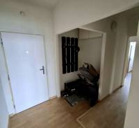 A hallway in a 4-room apartment with a coat rack, a stroller, and a wooden-patterned floor.