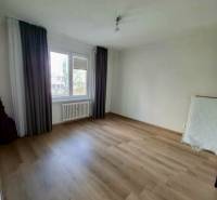 Empty room with wood-patterned flooring and a large window, 4-room apartment.