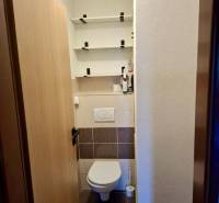 A toilet with wall shelves in a 4-room apartment, floor with wooden decor.