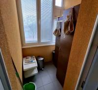 Spacious balcony in a 4-room apartment with plastic windows and storage solutions.