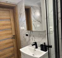 Bathroom with wooden door, sink, and mirror in a family house.