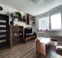 Living room in a studio apartment with wood-patterned flooring and light-colored furniture.