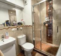 Bathroom of a one-room apartment, shower corner, sink, toilet, and cabinets.