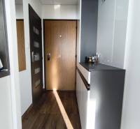 Entrance hall in a one-room apartment with a wood-patterned floor and a wardrobe.