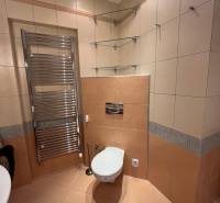 Bathroom in a 3-room apartment with tiles, a toilet, a ladder radiator, and glass shelves.