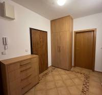 Entrance hall in a 3-room apartment with tiles and cabinets with a wood decor.