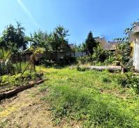 A garden at a family house in Partizánske with diverse plants and a grassy area.
