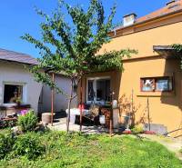A garden at a family house in Partizánske with a terrace, a tree, and a lawn.