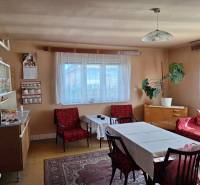 Living room in a family house with retro furniture, decorative flooring, and a houseplant.
