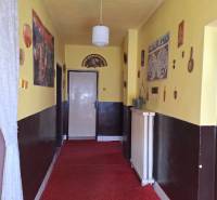 A hallway with yellow walls, a red carpet, and a pendant light in a family house.