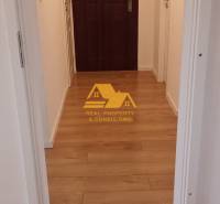 A narrow hallway with entrance doors and a wooden decor floor in a 2-room apartment.