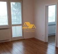 Bright 2-room apartment with wood-patterned flooring and large windows.