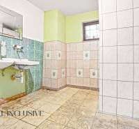 A bathroom in a family house with green tiles and two sinks.