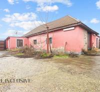 A family house in Šintava with a pink facade, a sloped roof, and a spacious yard.