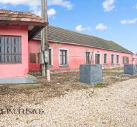 A family house in Šintava with a pink facade, a gravel path, and tall flower pots.