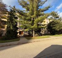 Apartment building with conifers in front of the entrance on Kalinčiakova Street in Senica.
