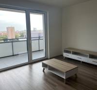 Living room in a two-room apartment with a wood-patterned floor and a large balcony window.