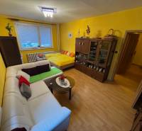 Living room with wood-patterned flooring, sofa, and bed in a studio apartment.