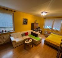 Yellow walls in a one-room apartment with a sofa, bed, and wooden decor flooring.