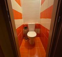 A bathroom with red and white tiles in a studio apartment.