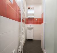 A bathroom in a 2-room apartment with a shower, white sanitary ware, and red tiles.