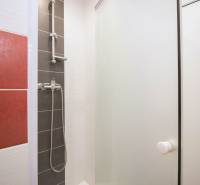 A shower corner with red and gray tiles in a 2-room apartment.