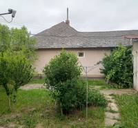 The garden of a family house in Strekov with planted shrubs and a satellite dish.
