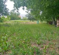 The garden of a family house in Strekov with grass and trees, ideal for relaxing in nature.