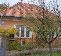 A family house in Strekov with a brick roof, a front garden, and a metal gate.