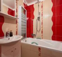 A bathroom in a 2-room apartment with a bathtub, sink, shower corner, and red tiles.