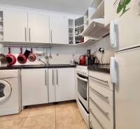 A kitchen with white cabinets, a dishwasher, a stove, and tiles in a two-room apartment.