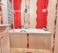 A bathroom in a 2-room apartment with red and white tiles and a bathtub.